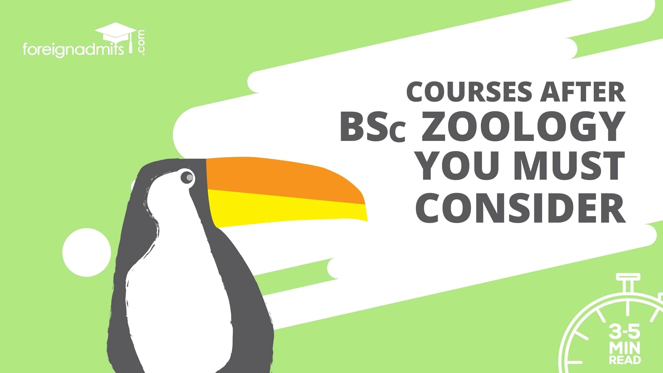 Courses after BSc Zoology You Must Consider