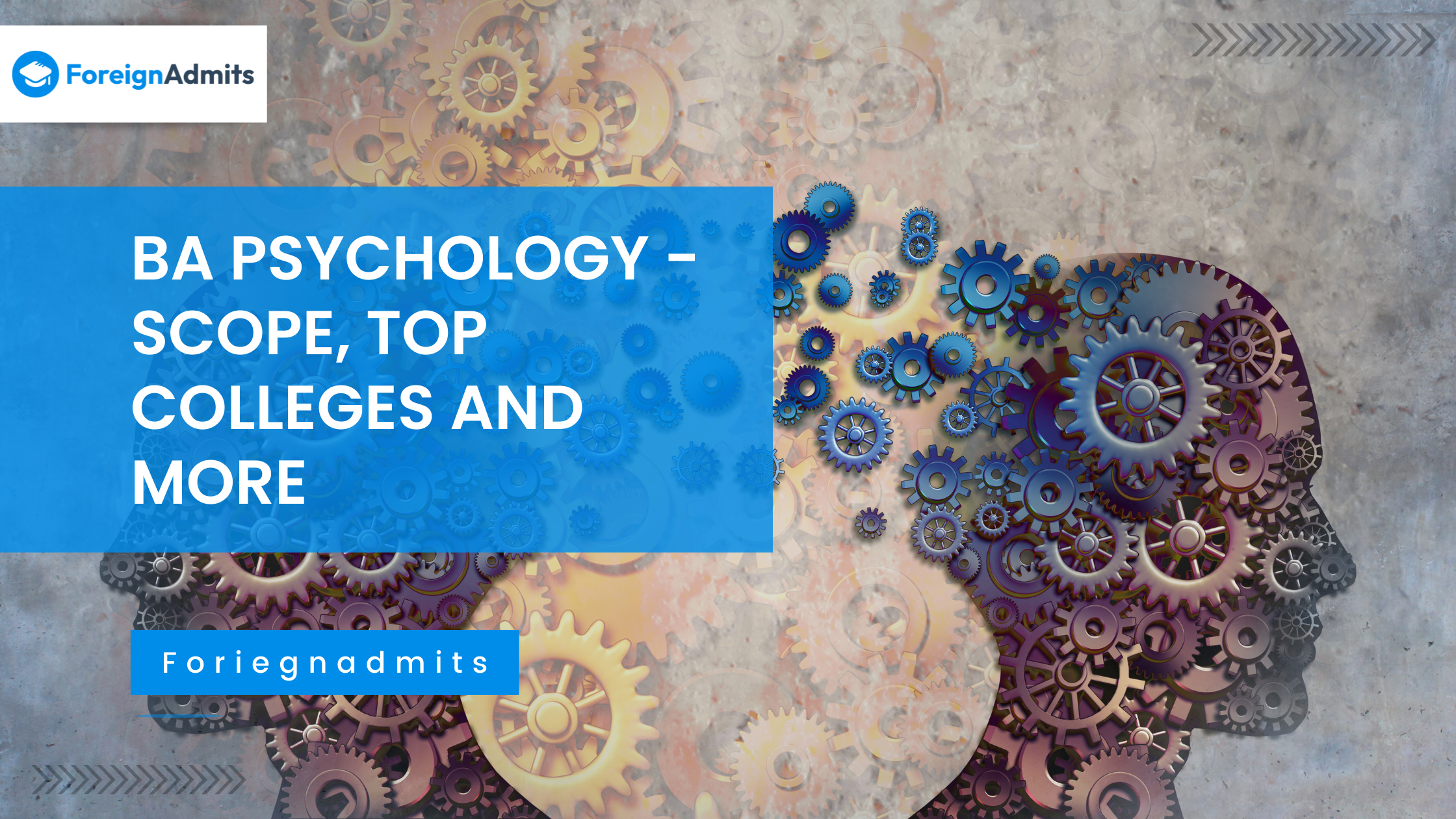 BA Psychology – Scope, Top Colleges and more