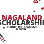 Nagaland Scholarship – Eligibility, Deadline, & More