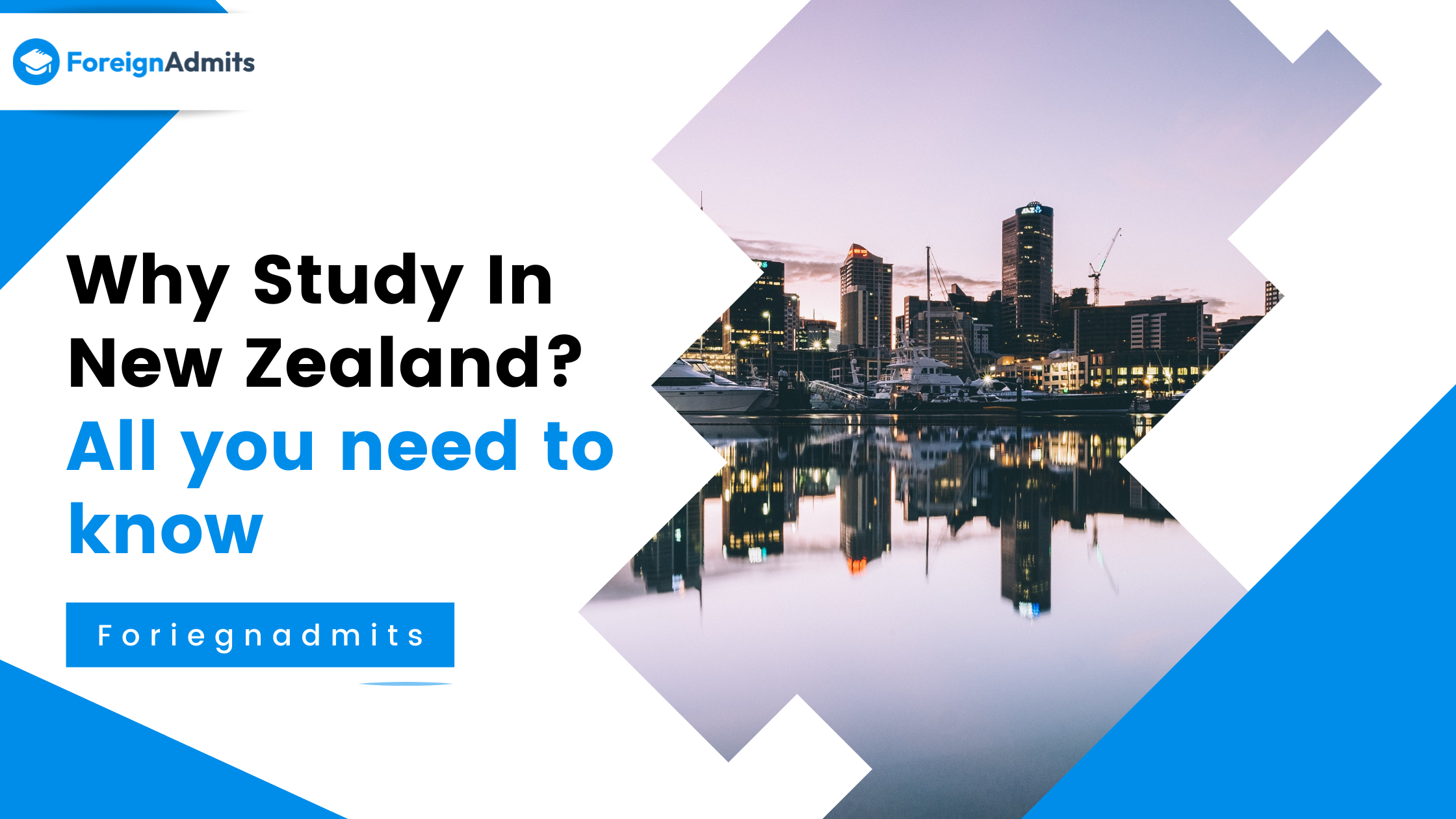 Why Study In New Zealand? – All you need to know