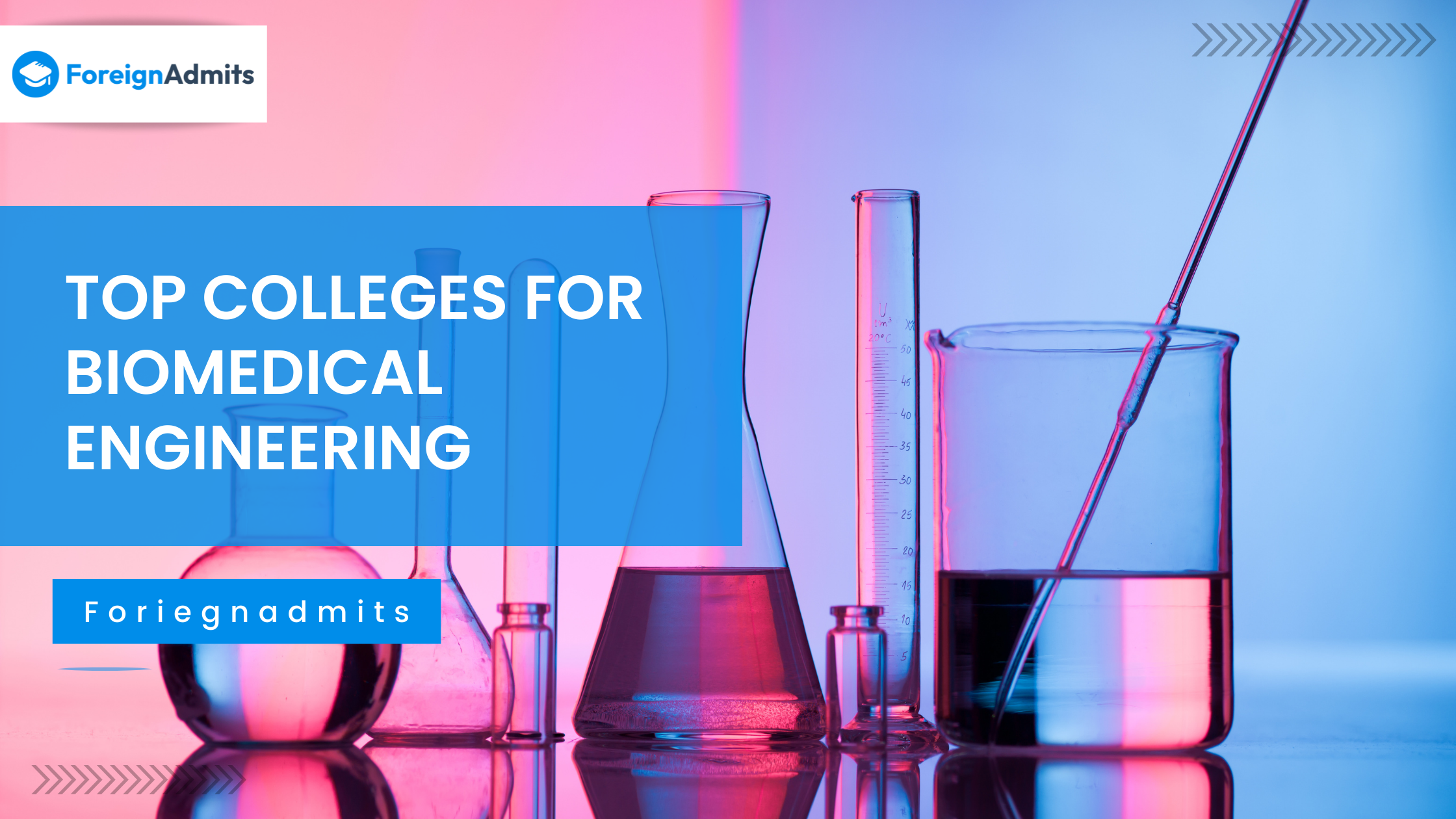 Top Colleges for Biomedical Engineering