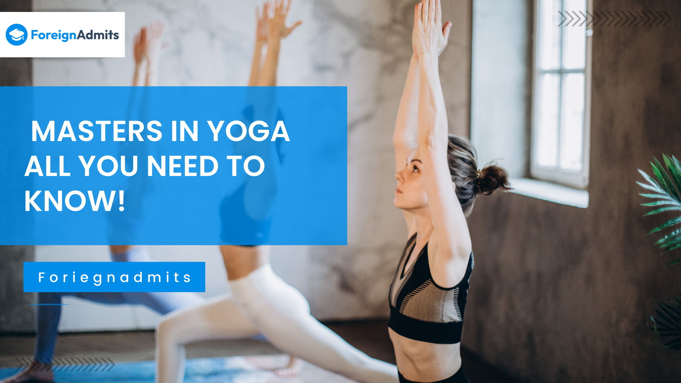 Masters in Yoga – All You Need to Know!