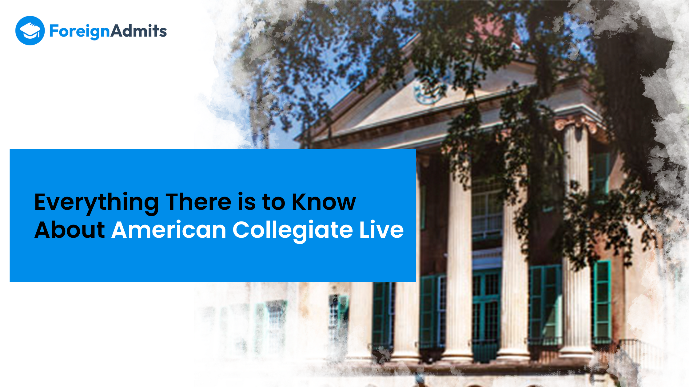 Everything There is to Know About American Collegiate Live