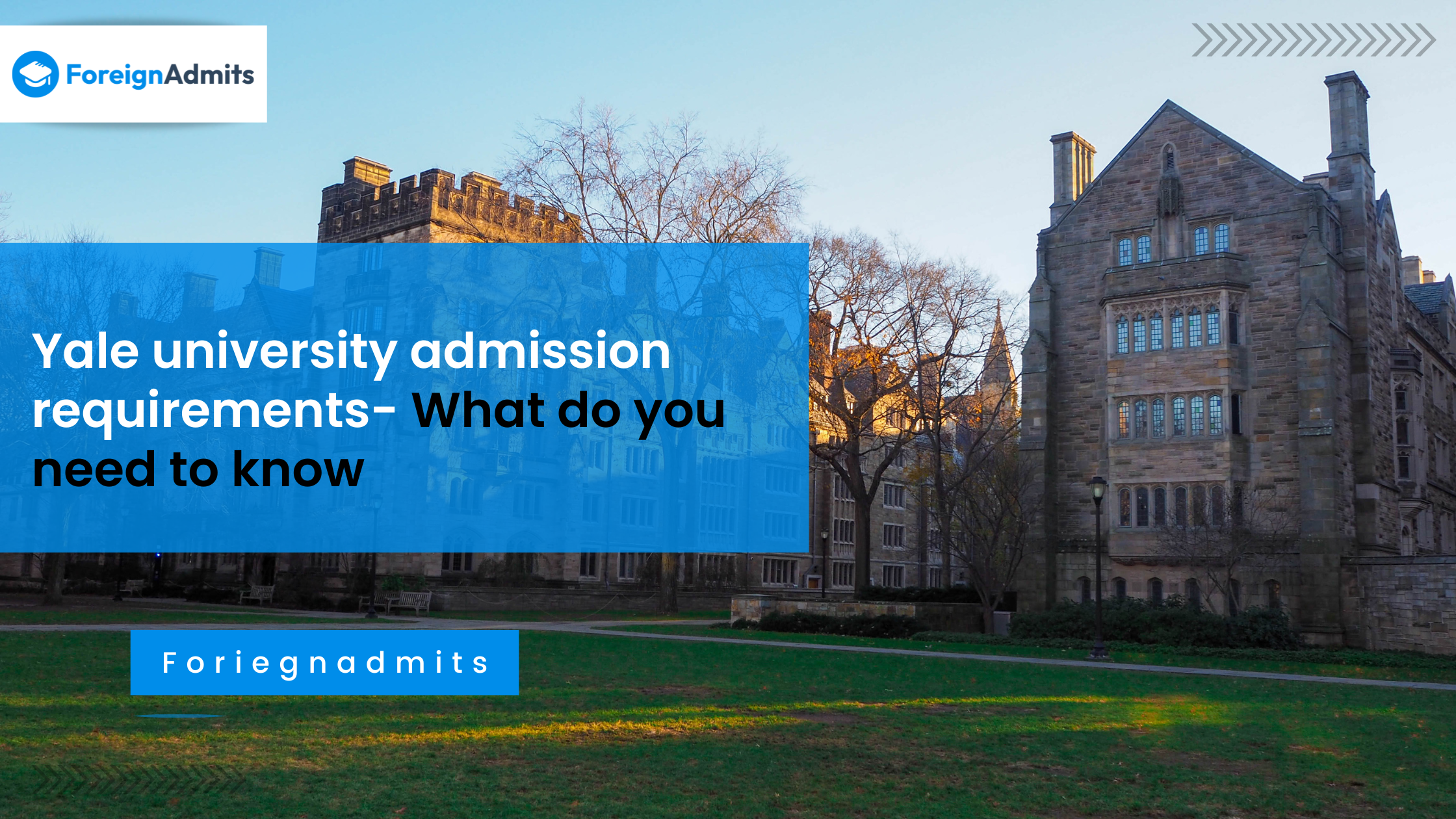 Yale University Admission Requirements – What You Need to Know