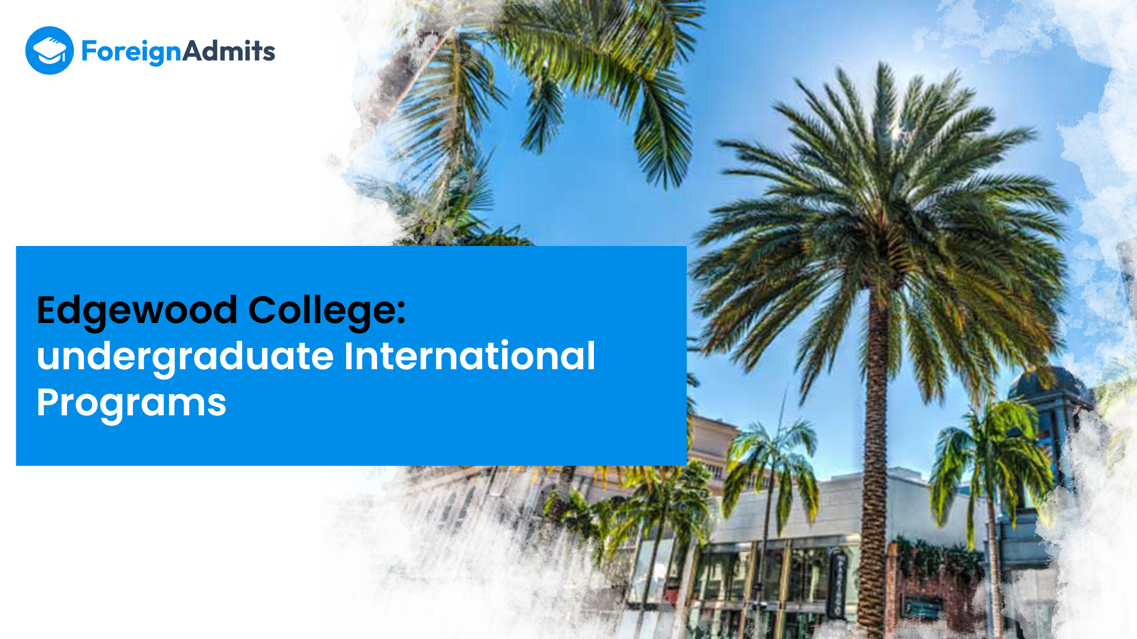 Edgewood College: undergraduate International Programs